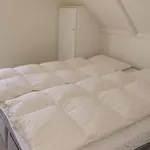 Three-bedroom In Apartment